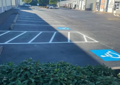 Professional Asphalt Contractor